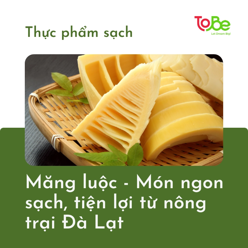 măng luộc, cách bảo quản măng, măng nấu món gì