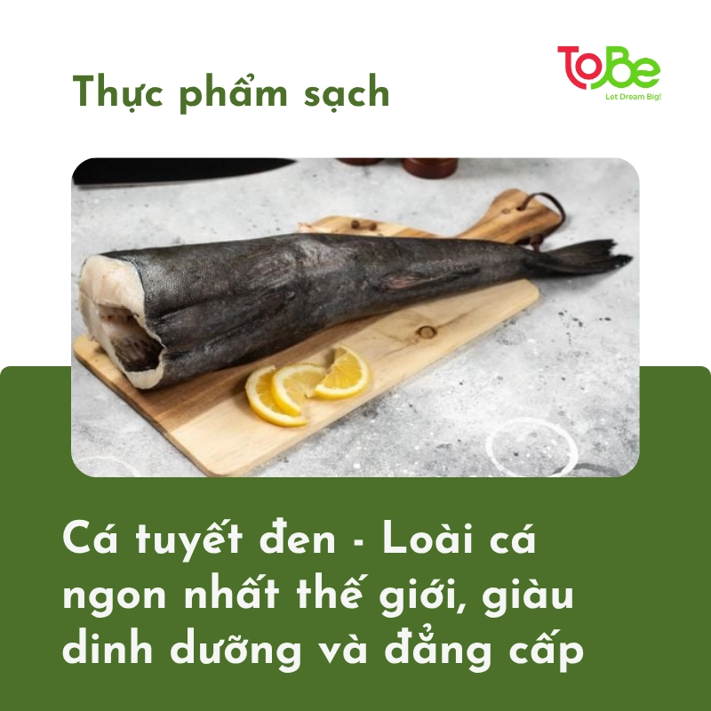 cá tuyết đen