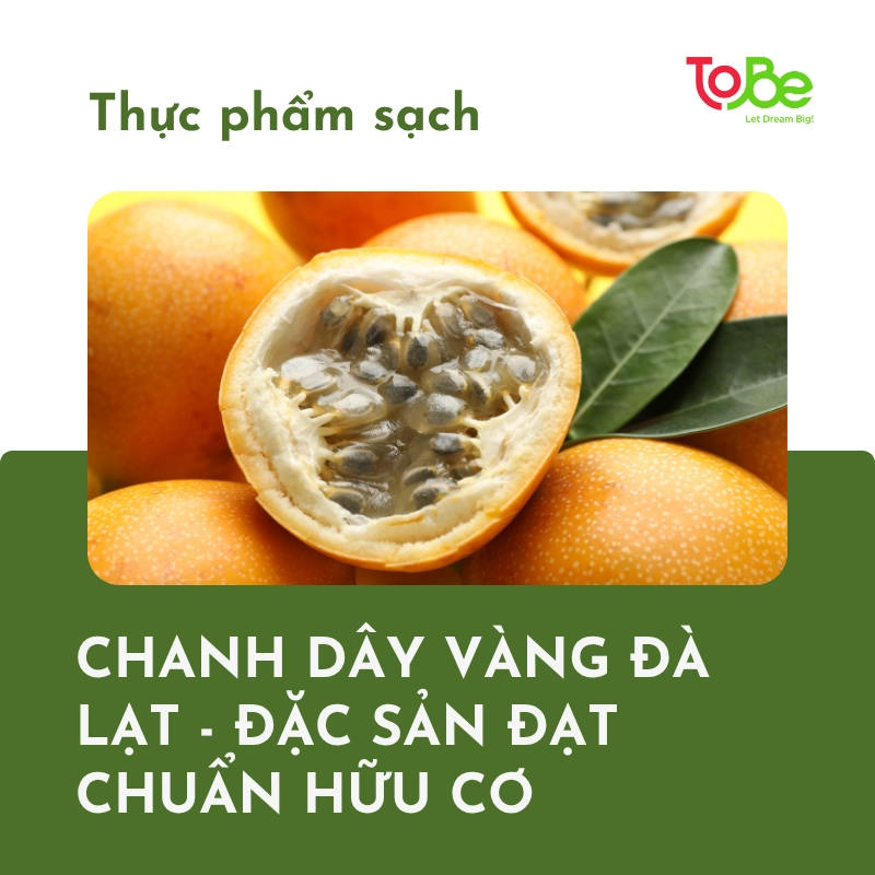 CHANH DÂY VÀNG ĐÀ LẠT - ĐẶC SẢN CHUẨN HỮU CƠ