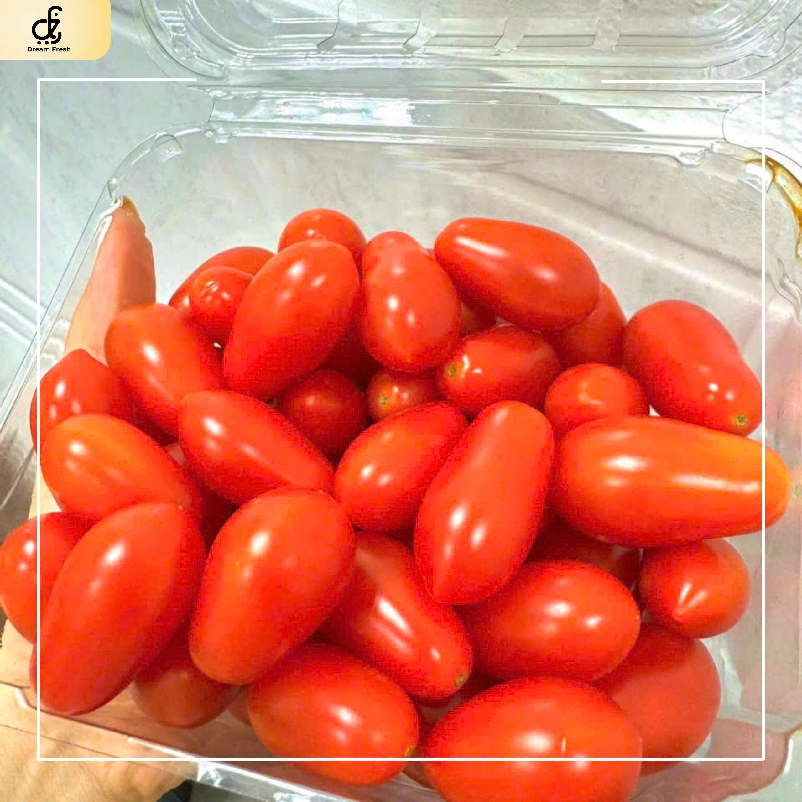 cà chua, giá cà chua, cách bảo quản cà chua