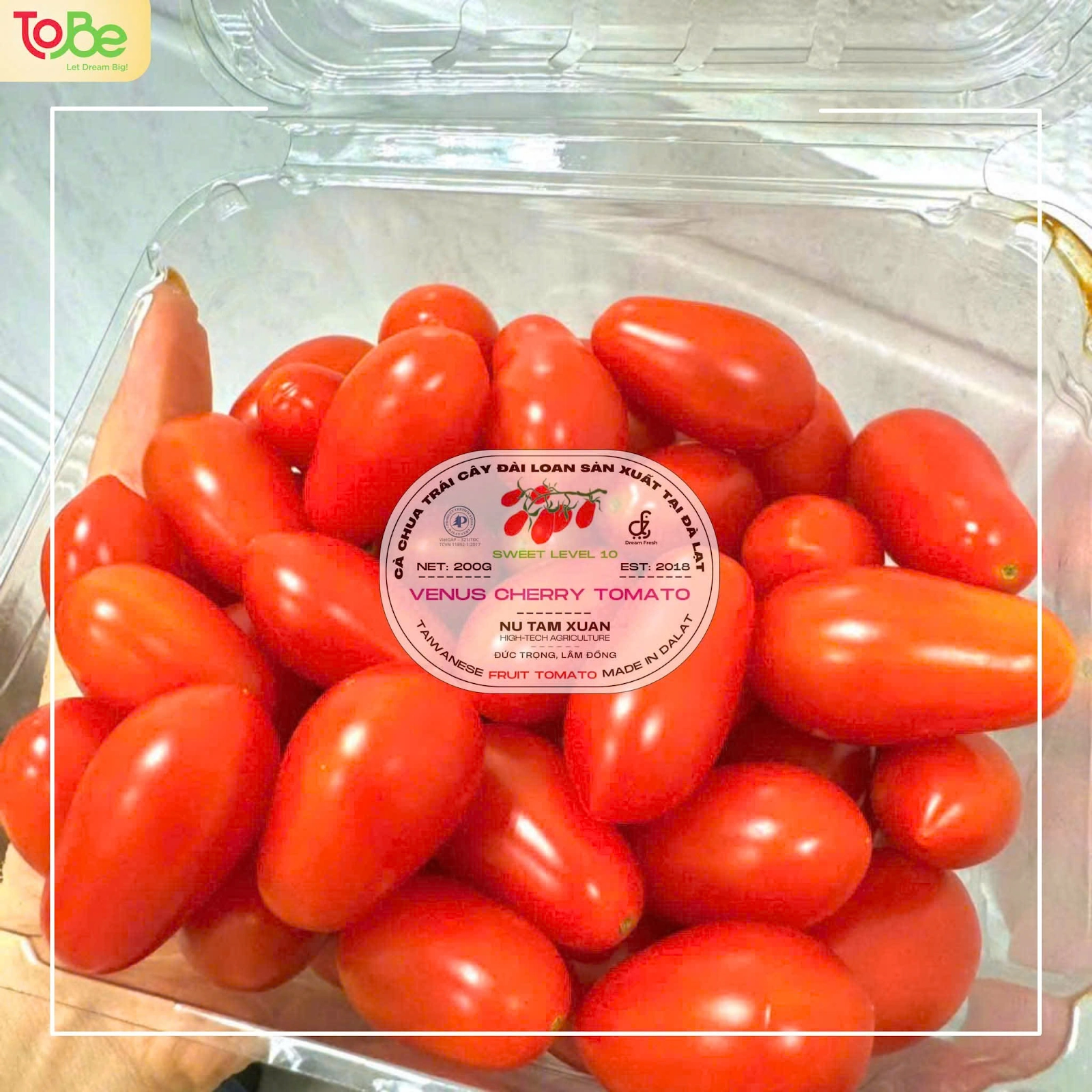 cà chua mỹ nhân, giá cà chua, cách bảo quản cà chua