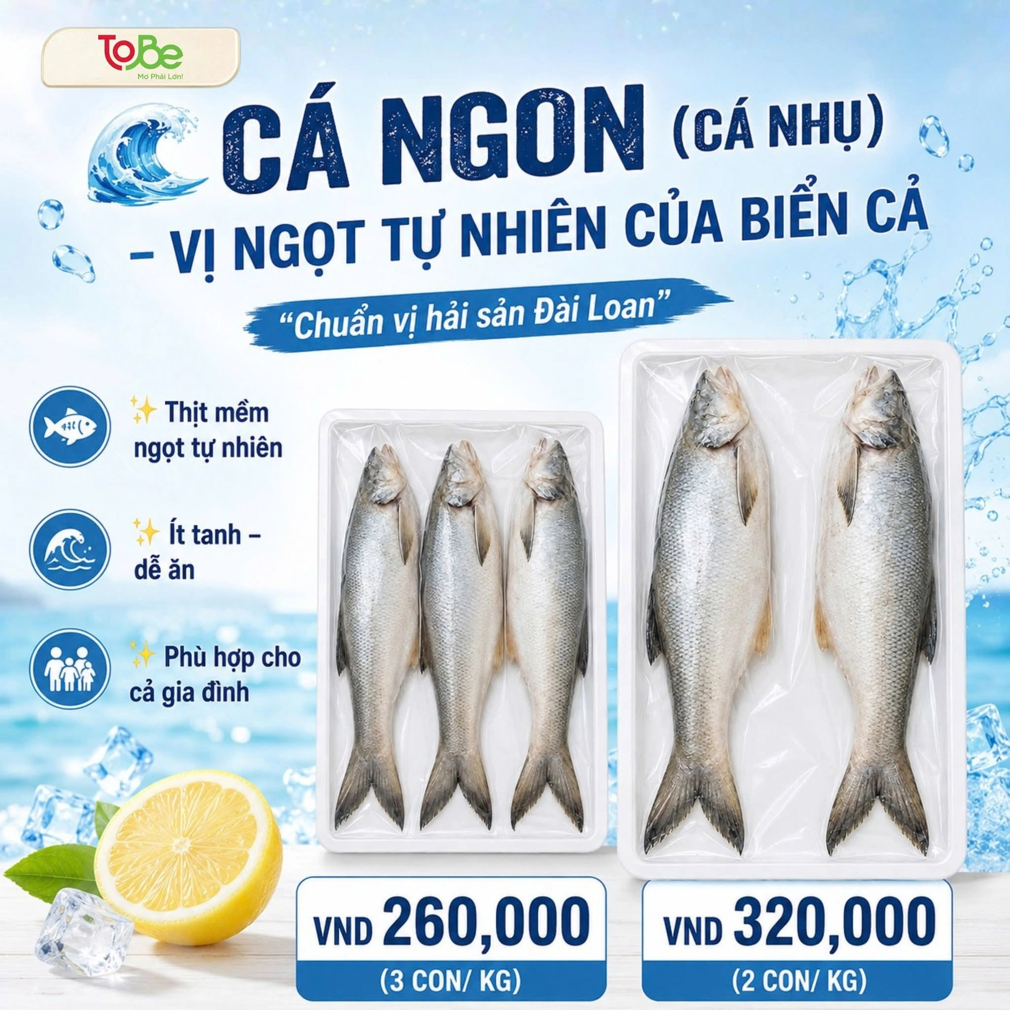 Cá nhụ tại Tobe Mart có nguồn gốc chất lượng, tươi ngon và giá mua hợp lý