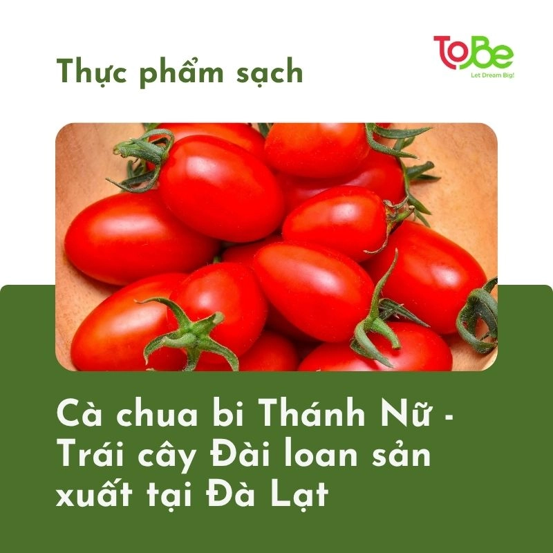 ca chua bi thumbnail