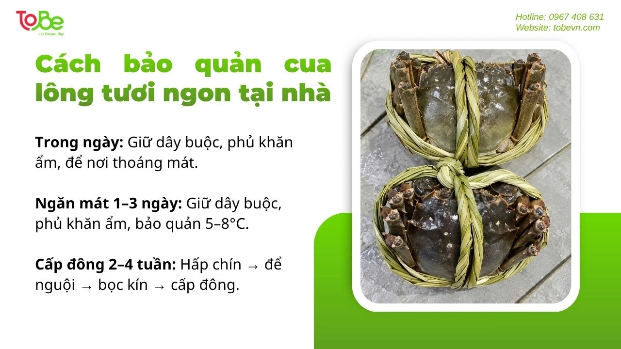 cach-bao-quan-cua-long-tuoi-ngon-tai-nha