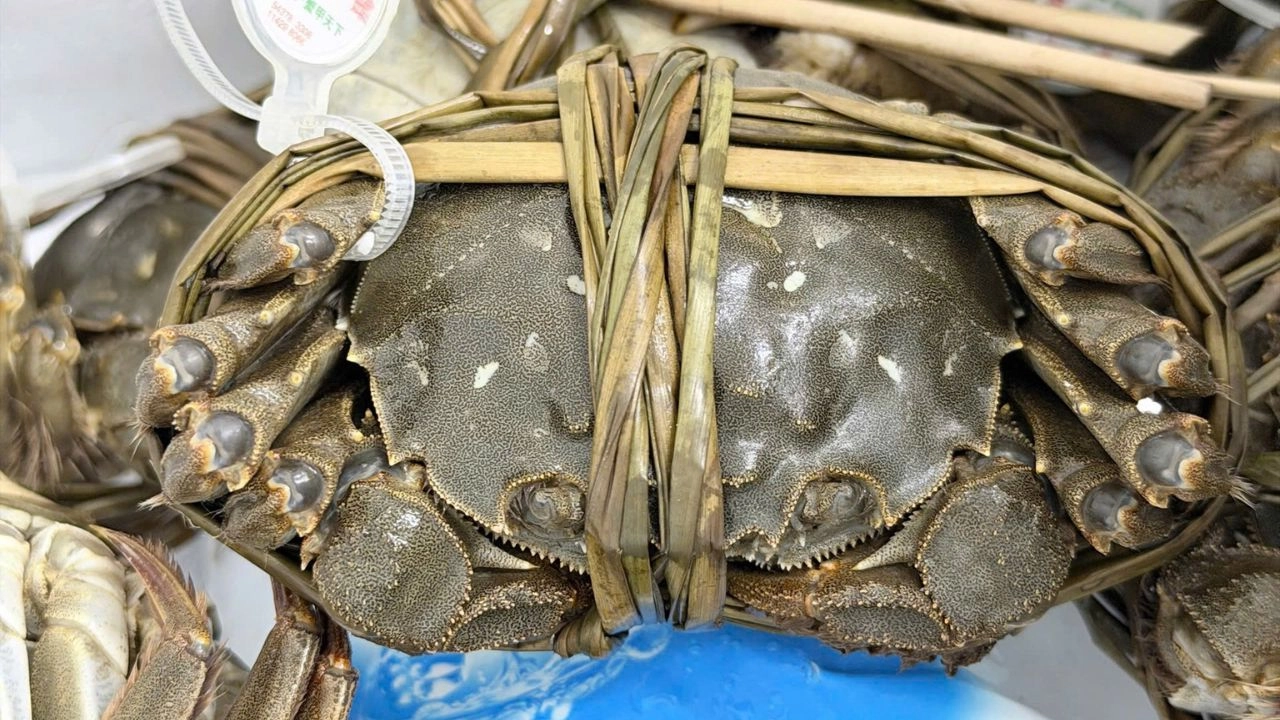 cua-long-giang-to-co-gi-dac-biet
