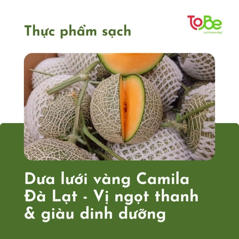 dua luoi vang thumbnail