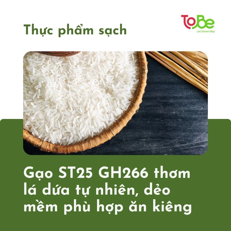 gao st25 thumbnail