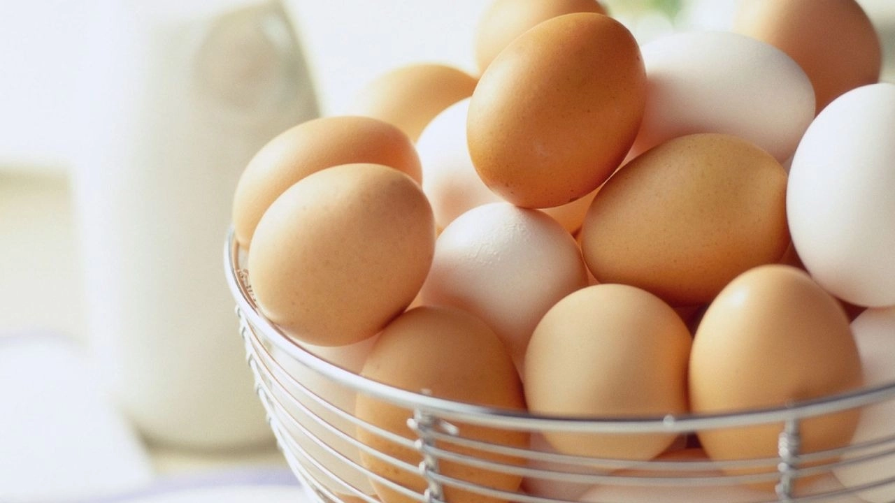 Trứng gà là nguồn giàu Protein tự nhiên