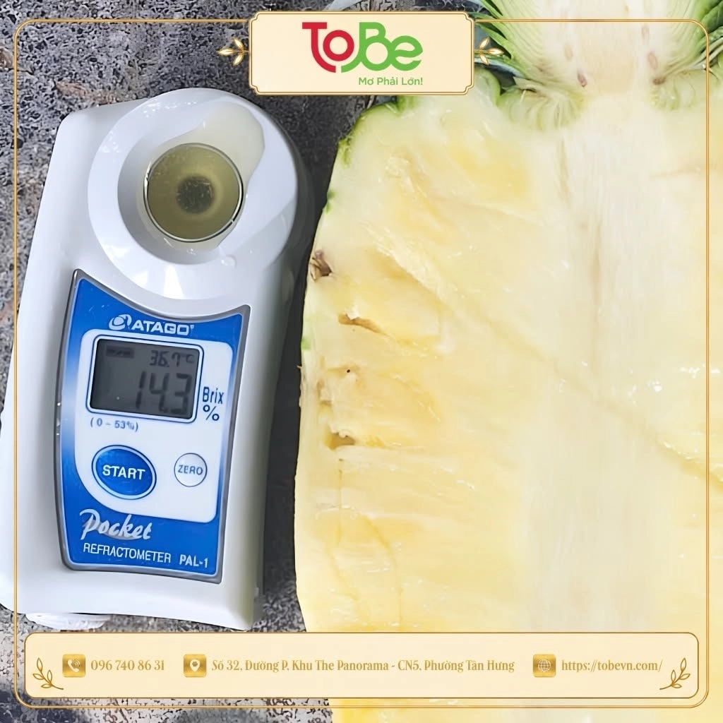 Dứa Hoàng Kim MD2 tại ToBe Mart có độ ngọt khoảng 12-14 độ Brix