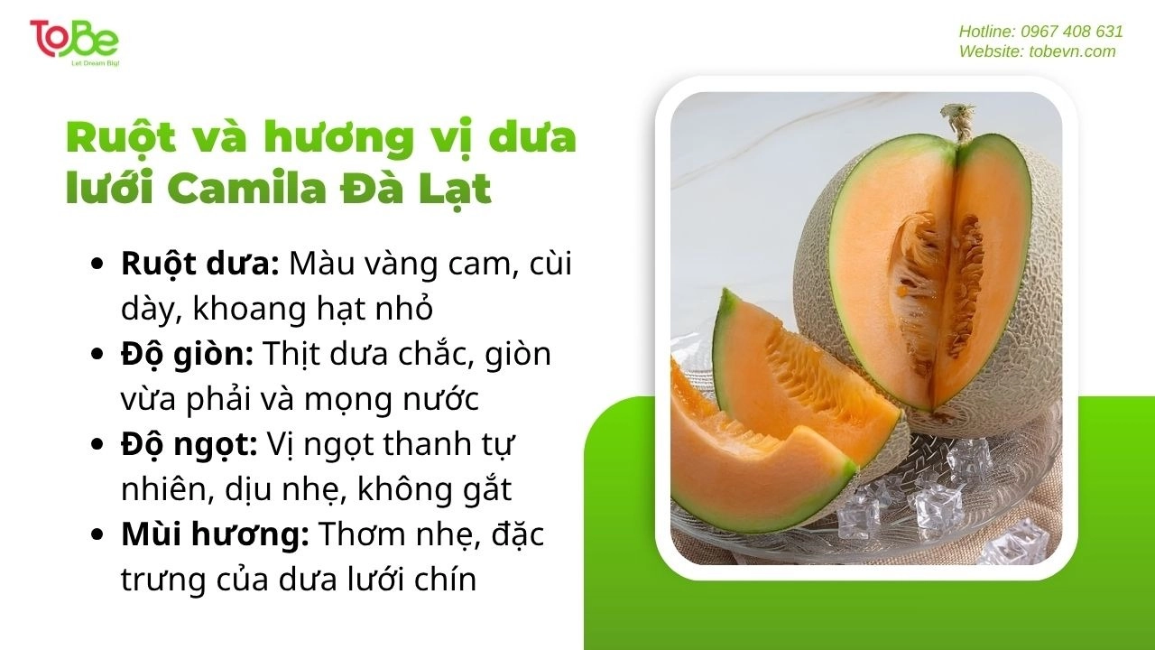 Đặc điểm phần rượt và hương của dưa lưới vàng Camila