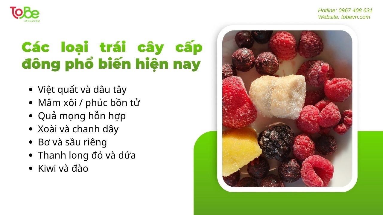 Những loại trái cây cấp đông phổ biến hiện nay