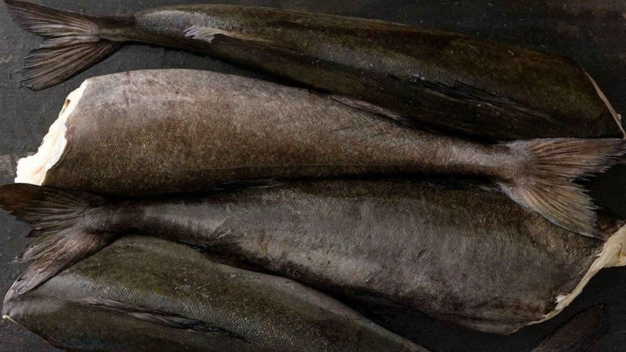 Cá tuyết đen là loại cá có nhiều Omega-3