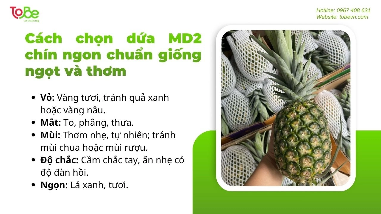 Những cách giúp bạn chọn dứa MD2 đạt chuẩn