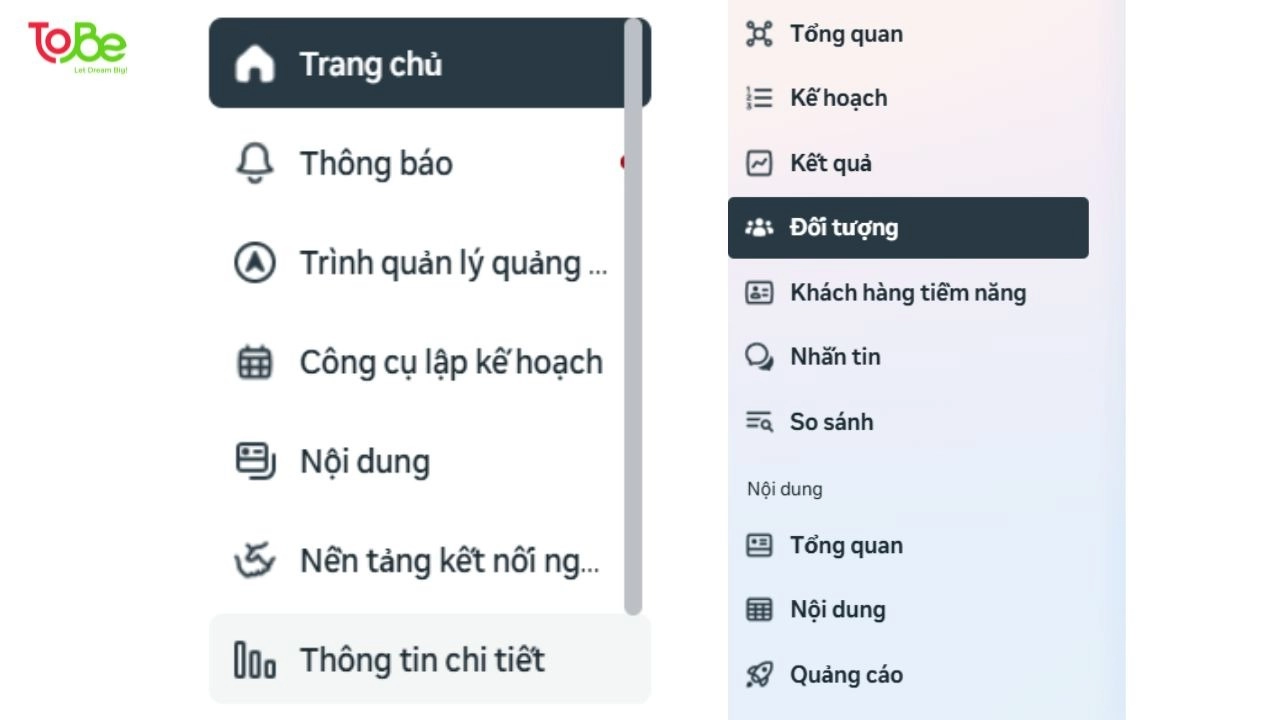 Chọn mục Insights (Thông tin chi tiết) và đi đến phần Audience (Đối tượng)