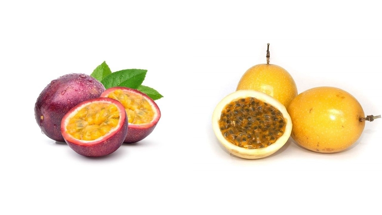 Điểm khác biệt giữa chanh dây vàng và chanh dây thường