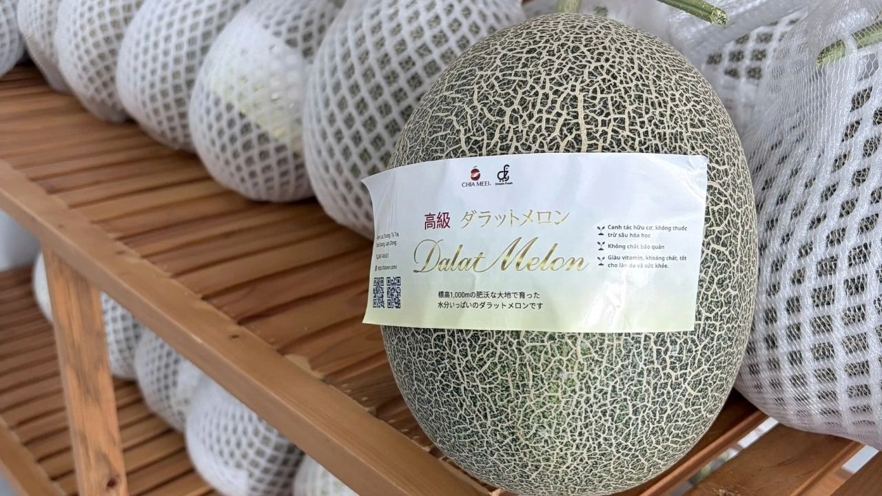 Giá trị dinh dưỡng của dưa lưới vàng vô cùng lớn