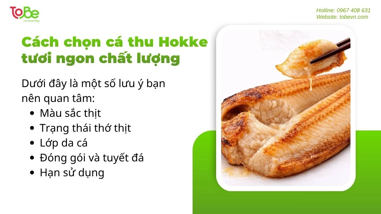 Những tiêu chí giúp bạn chọn cá thu Hokke tươi ngon chất lượng