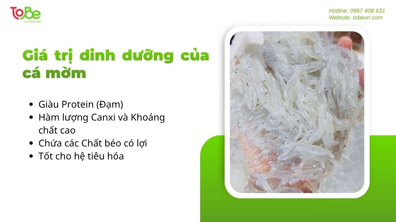 Cá cơm mang lại nhiều giá trị dinh dưỡng cho người dùng