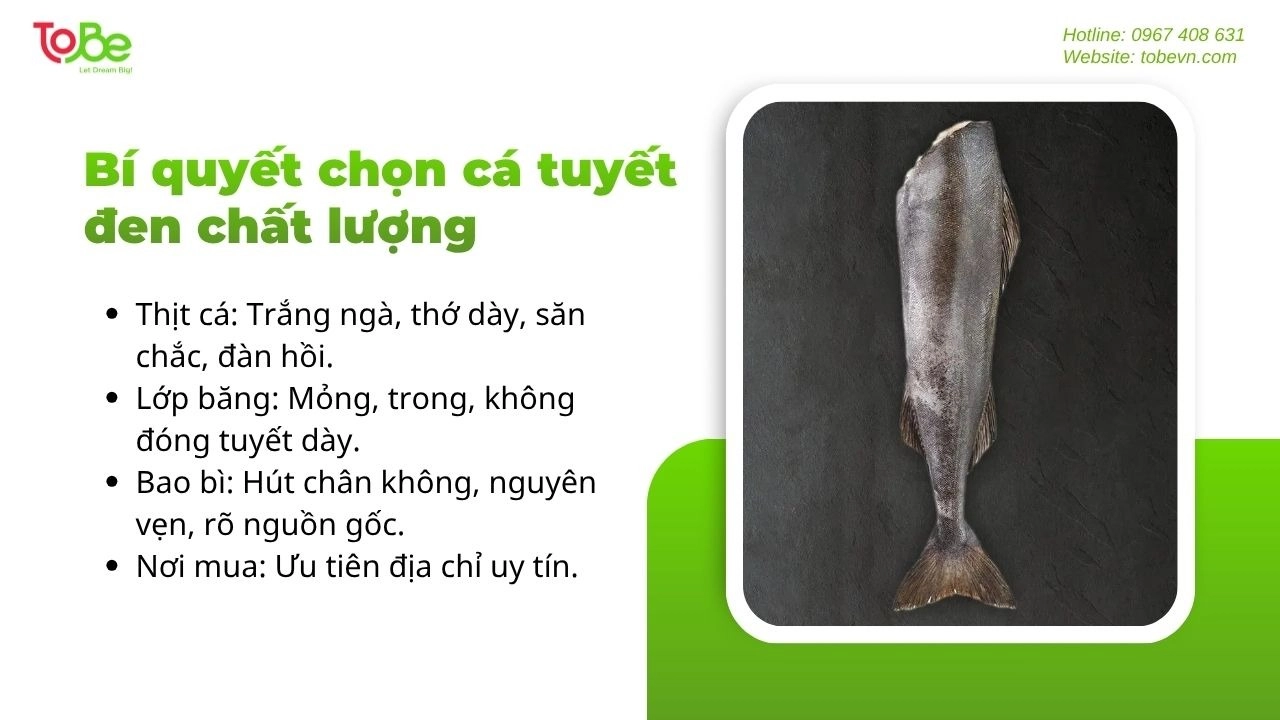 Để cá giữ được độ béo mềm đặc trưng cần chọn cá chất lượng