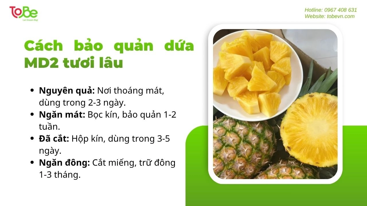 Những tiêu chí giúp bạn bảo quản dứa MD2 lâu hơn