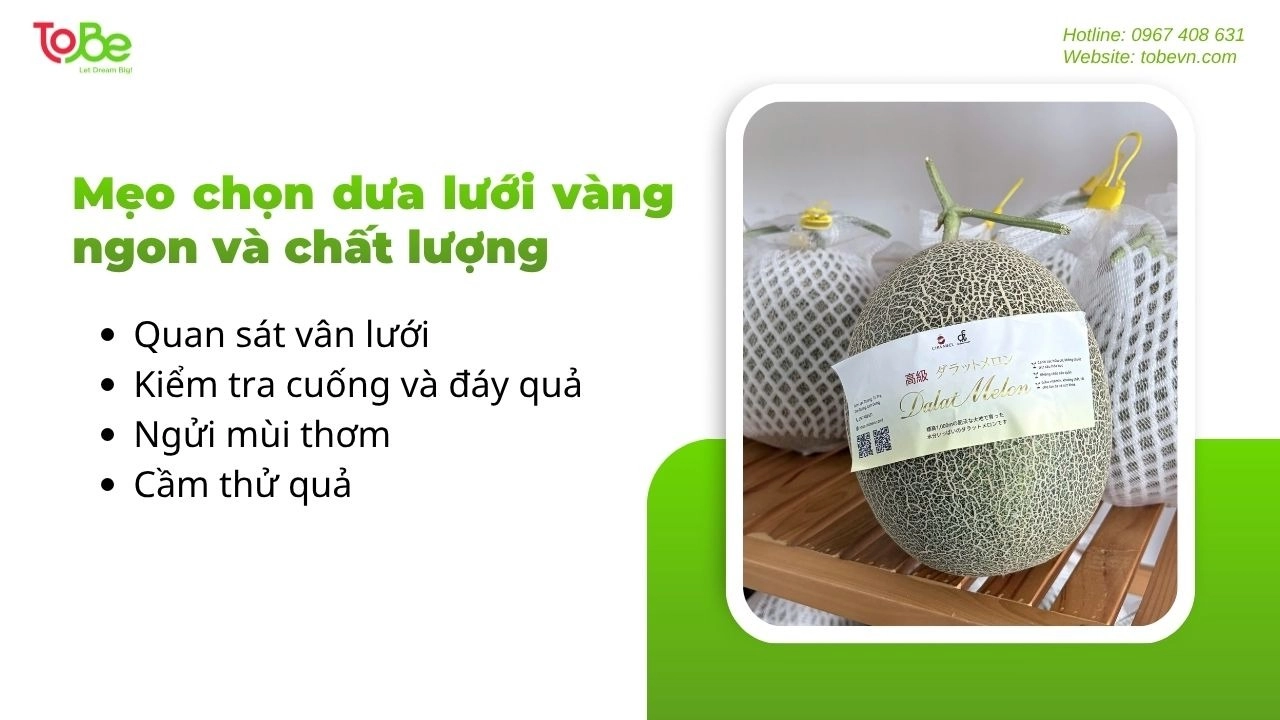 Kinh nghiệm chọn dưa lưới vàng thơm ngon và tươi mát