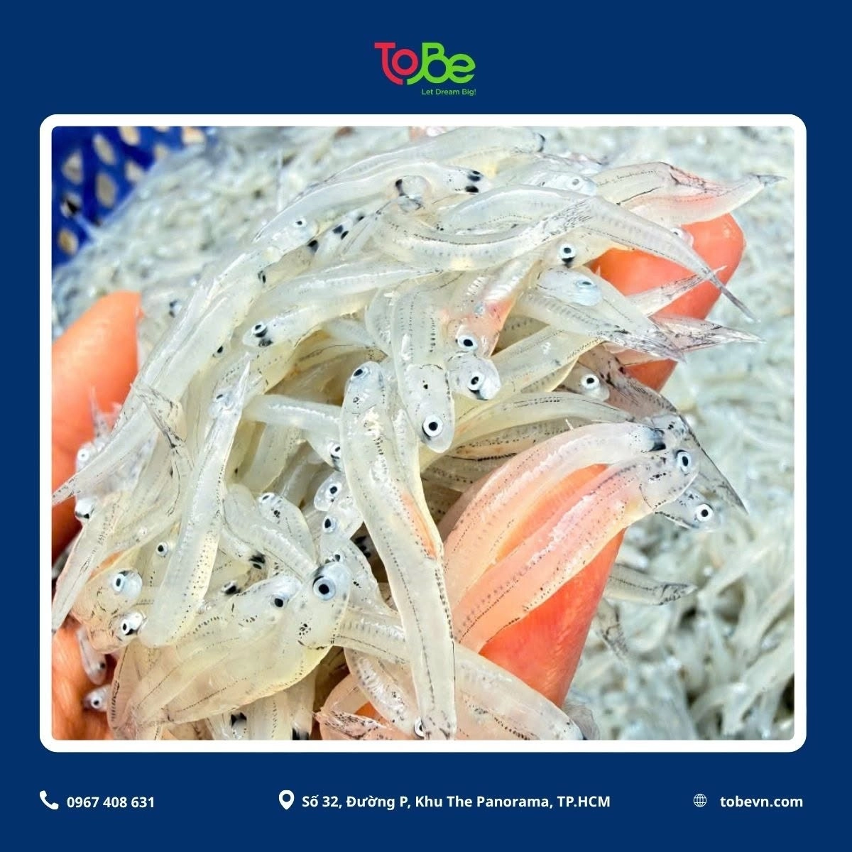 Cá mờm được chế biến thành nhiều món ăn trong bữa cơm gia đình