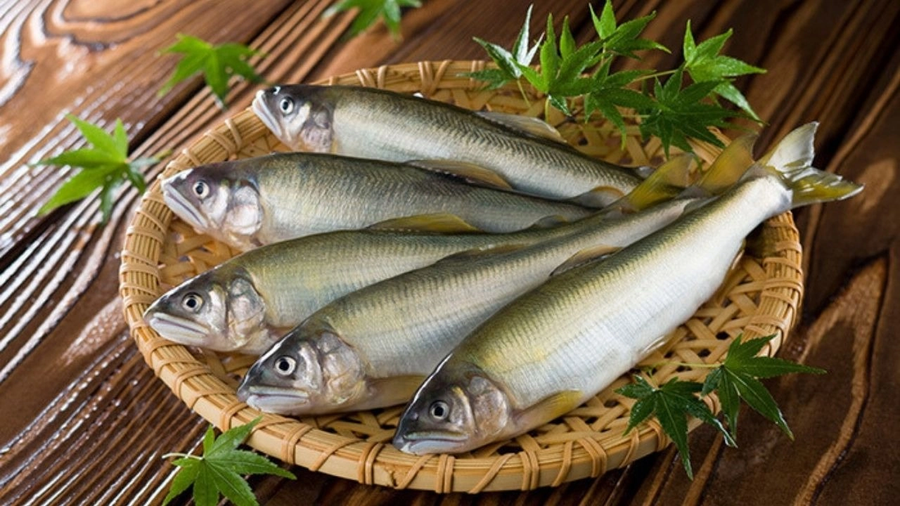 Bí quyết bảo quản cá hương Ayu lâu và tươi lâu