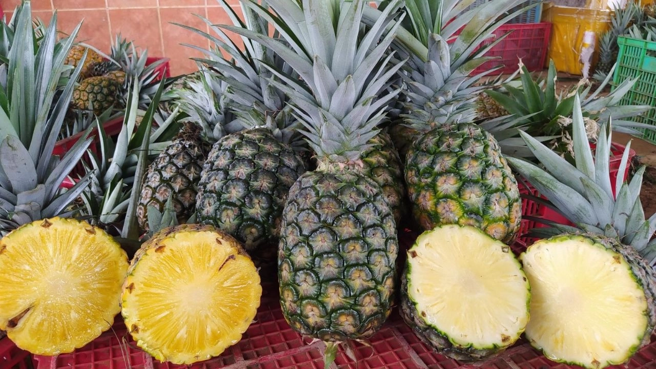 Loại dứa này không gây rát lưỡi