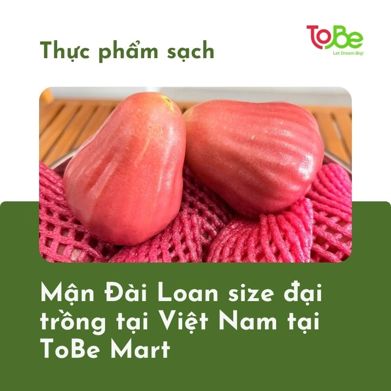 man dai loan thumbnail