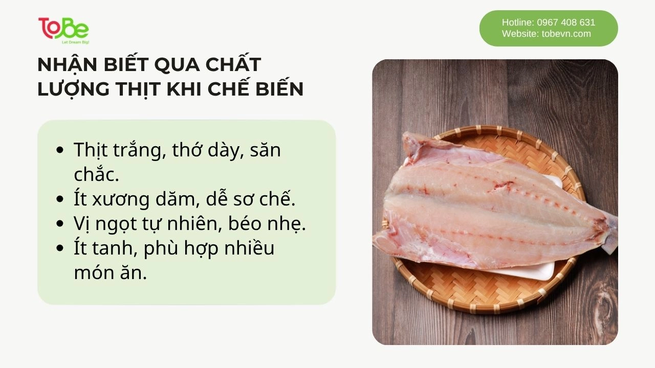 Những điểm nổi bật để nhận biết cá nhụ qua chế biến