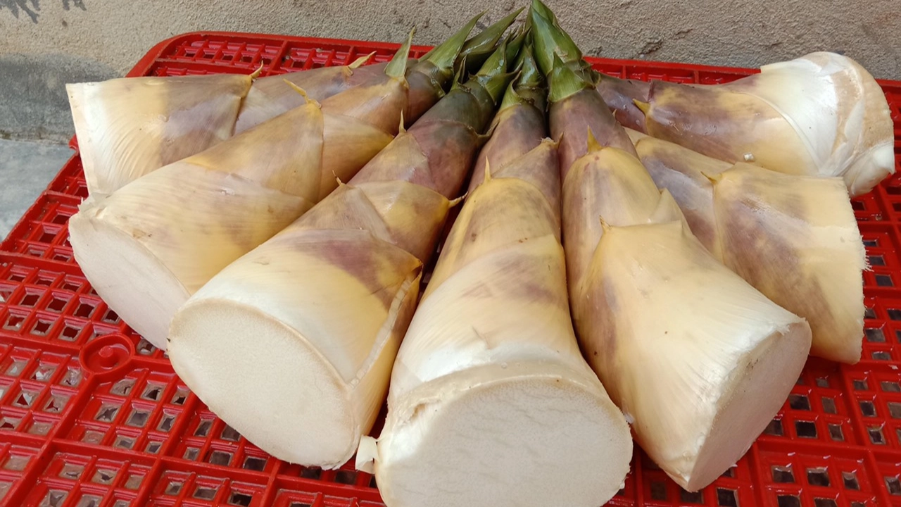 Măng tươi Điền Trúc có củ khá chắc, mọng nước và có độ giòn tự nhiên