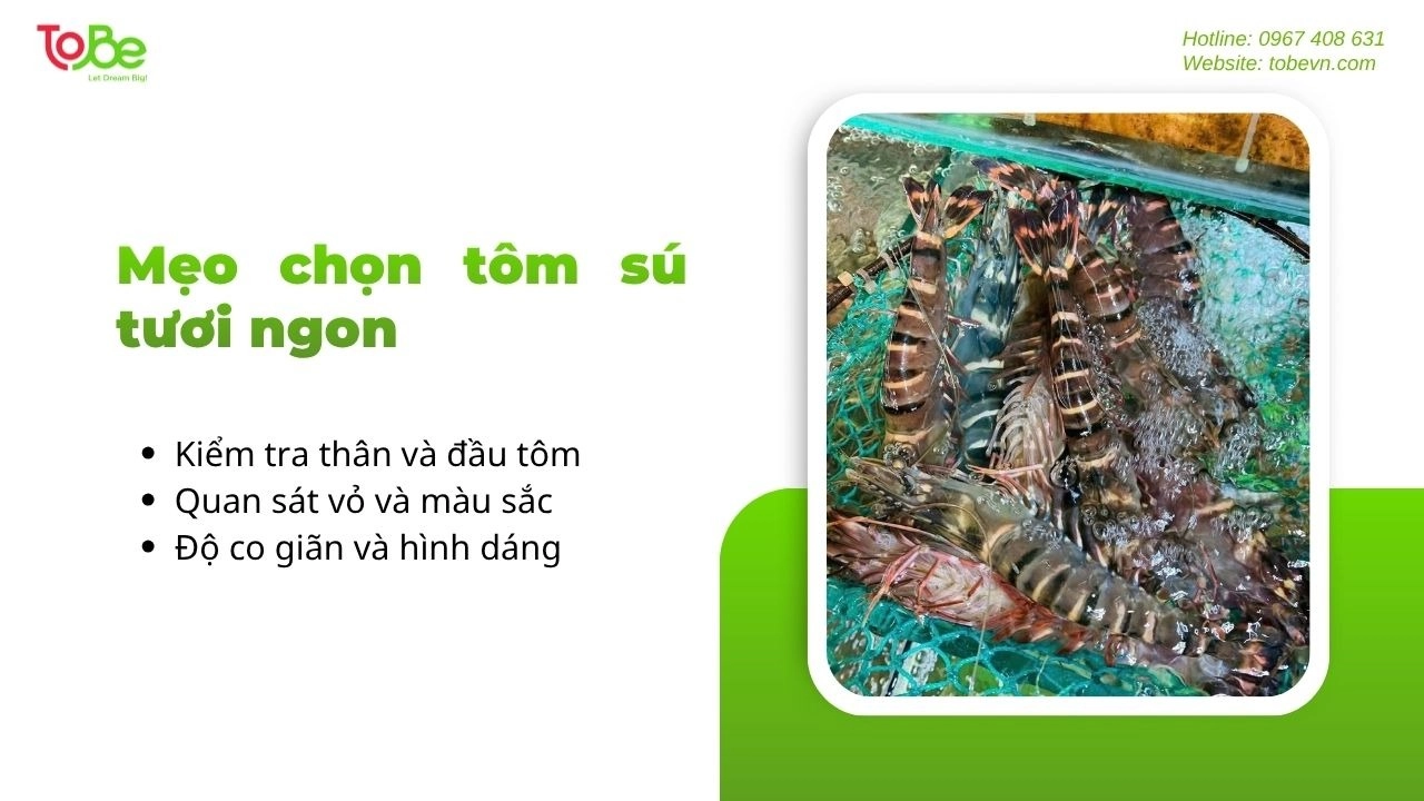 Một số cách chọn tôm sú tươi ngon hơn