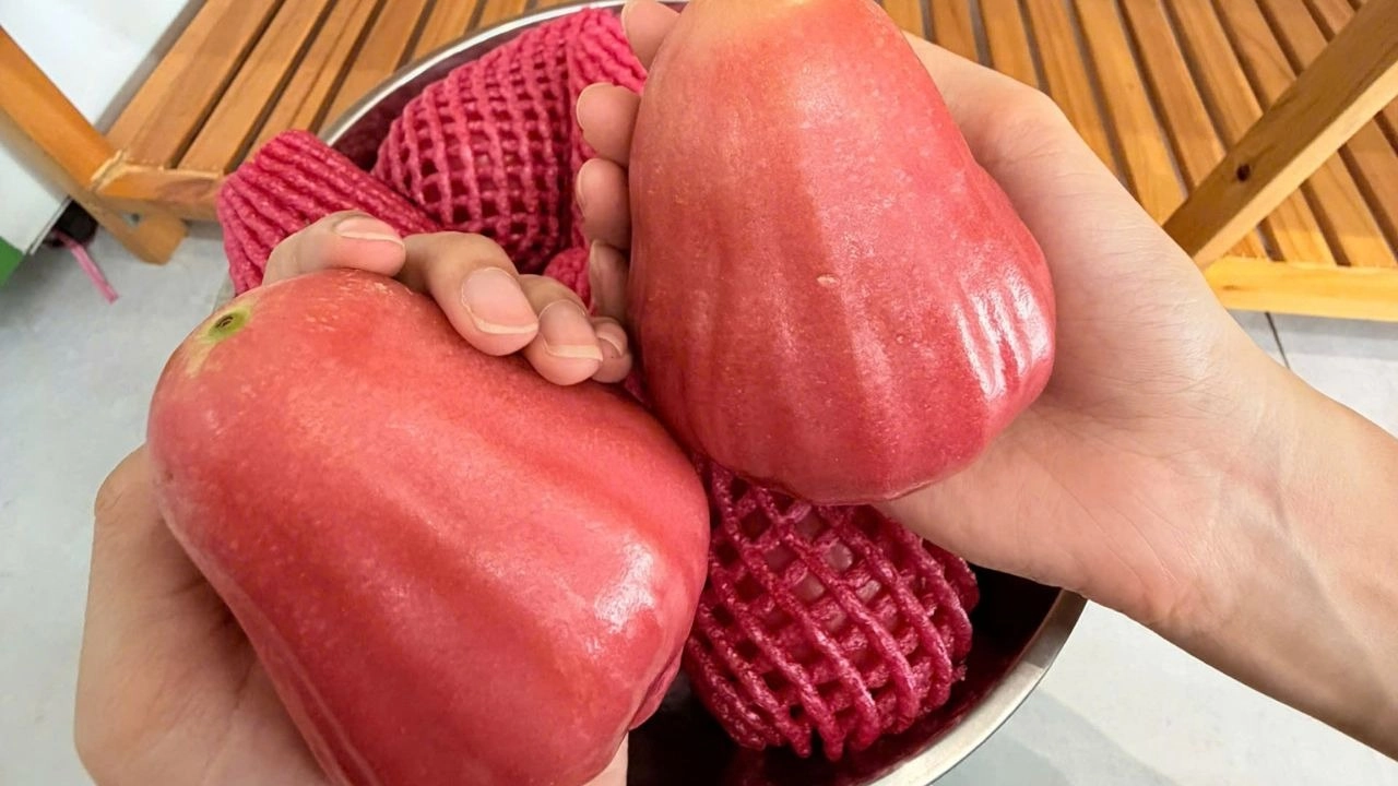 Mận Đài Loan tại ToBe Mart size lớn