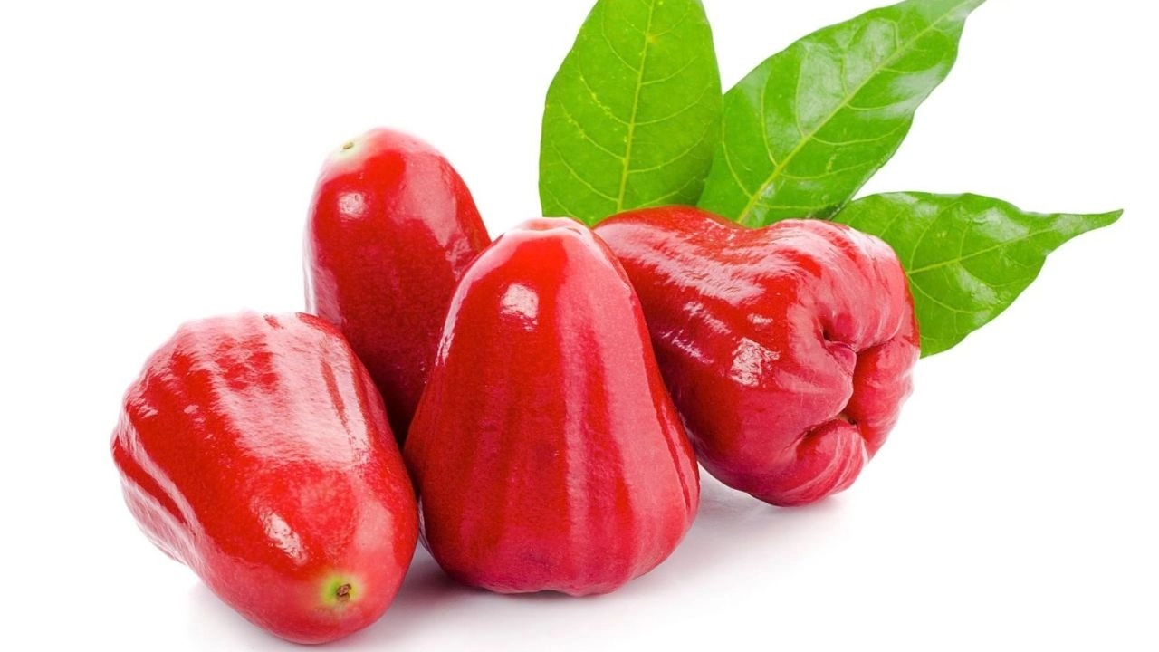 Mận chứa nhiều nước giúp bù nước và giải nhiệt nhanh chóng