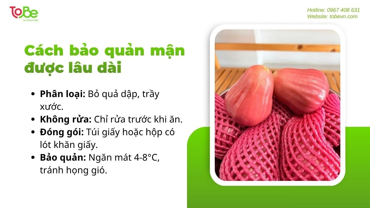 Tips giúp bạn bảo quản mận được lâu dài nhưng vẫn giòn ngọt
